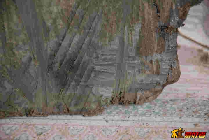T2bS2IXw8XXXXXXXXX_!!42051253.jpg