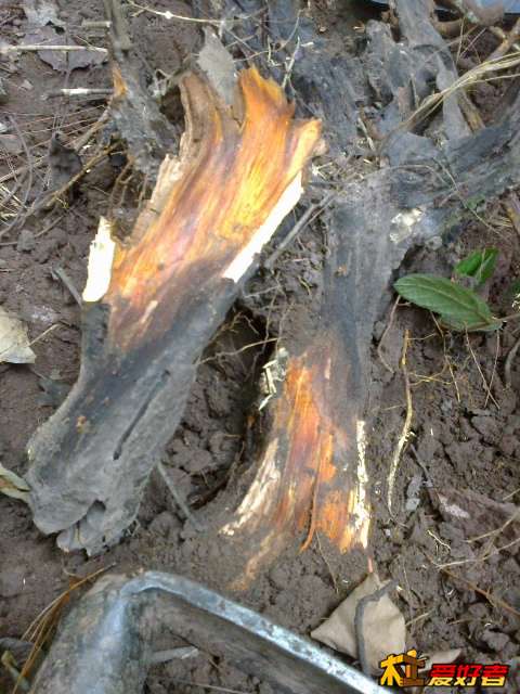 20131001384.jpg