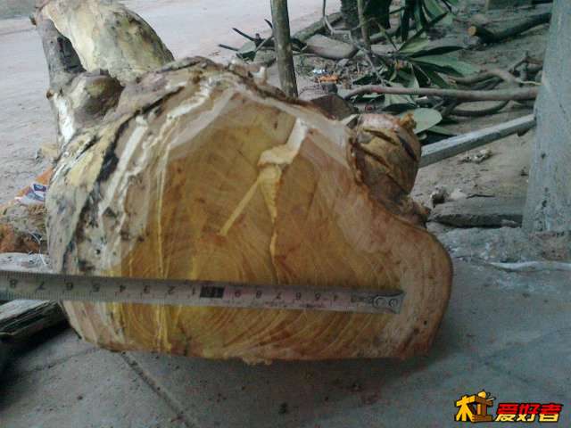 20140121648.jpg