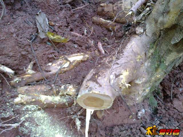 20140121640.jpg
