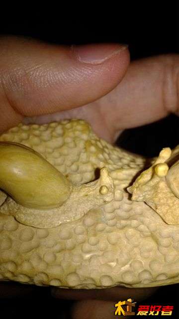 近距离,都是手机照的,所以比较不清晰哈 近距离,都是手机照的,所以比较不清晰哈