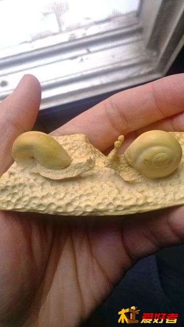 左手边的蜗牛因为害羞,所以触角没有伸出来,我故意的。哈哈 左手边的蜗牛因为害羞,所以触角没有伸出来,我故意的。哈哈