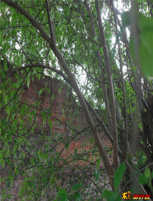 SDC14613.JPG