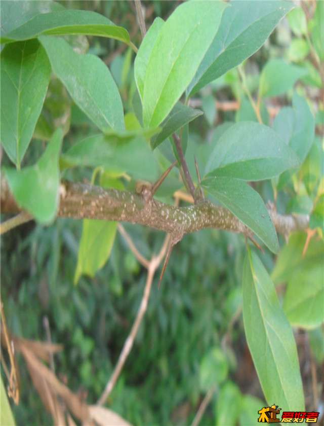 SDC14619.JPG