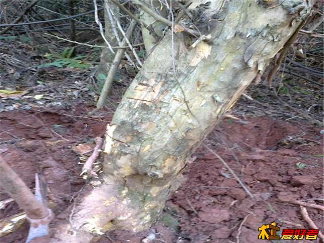 20140121639.jpg