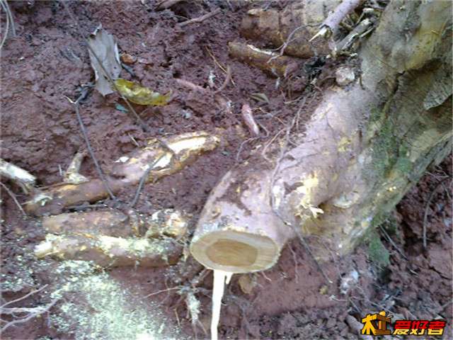 20140121640.jpg