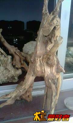 IMG0406A.jpg