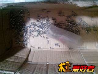 091542q8s2i8hh8e59x9h9.jpg