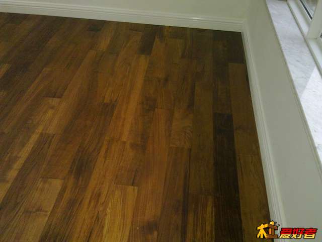 20101021216.jpg