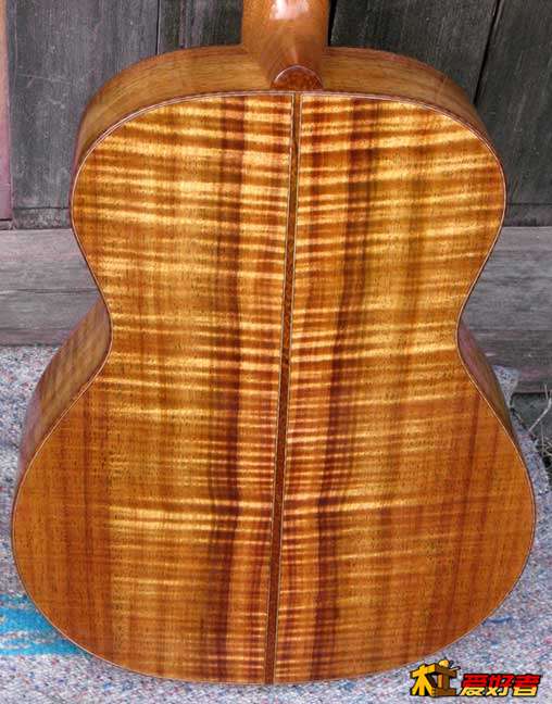 bodyback.jpg