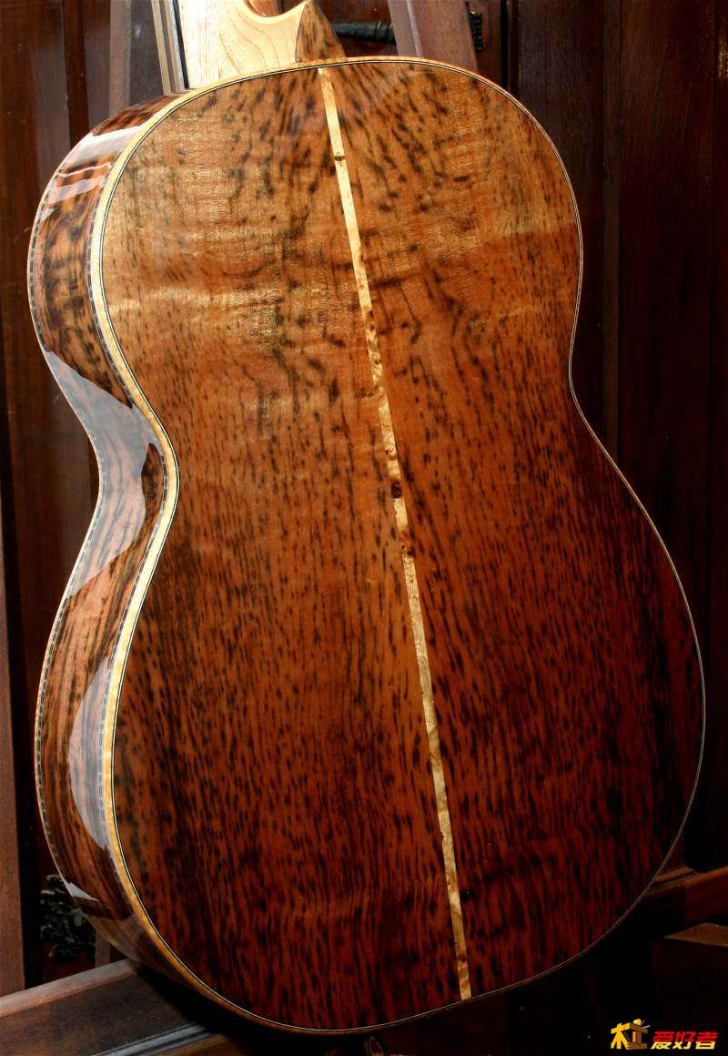 tiger-myrtle-guitar-may-17-2010-back.jpg