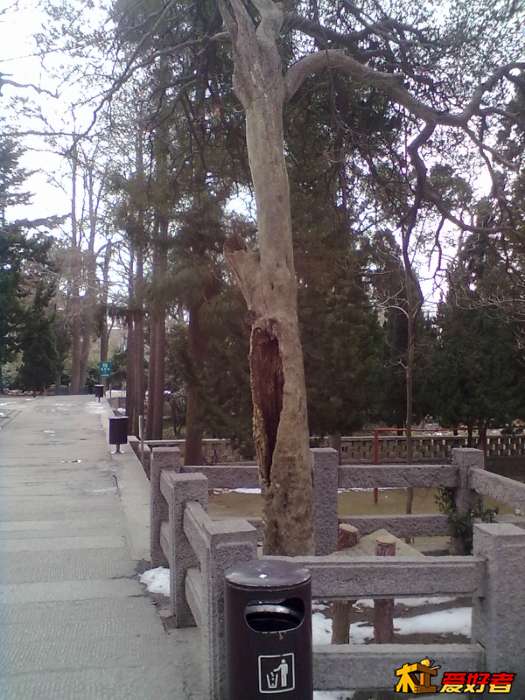 152022dpaukaklqlaqgyd3.jpg