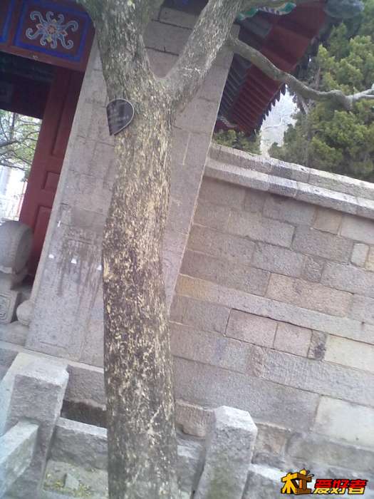 152113u4wrez7xxtw4wepx.jpg