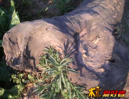 这张看起来很沧桑