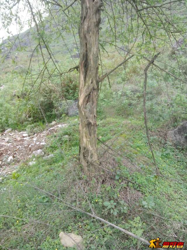 QQ图片20140418125719.jpg
