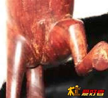 马D.jpg