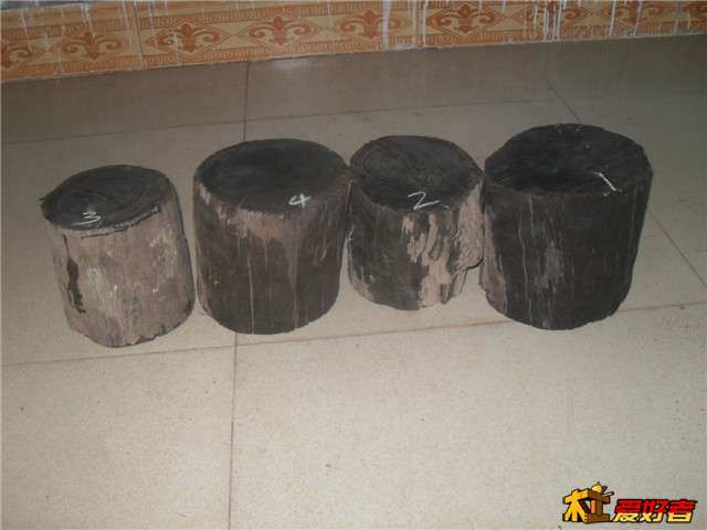 SDC15019.JPG