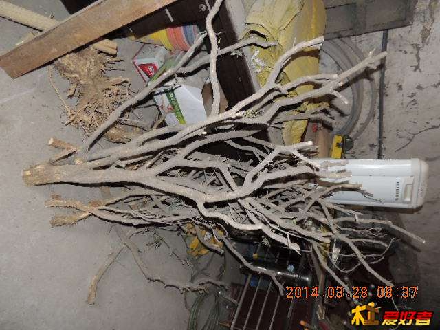 DSCN0143.jpg