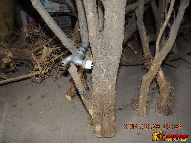 DSCN0147.jpg