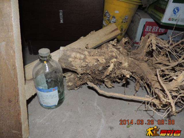 DSCN0145.jpg