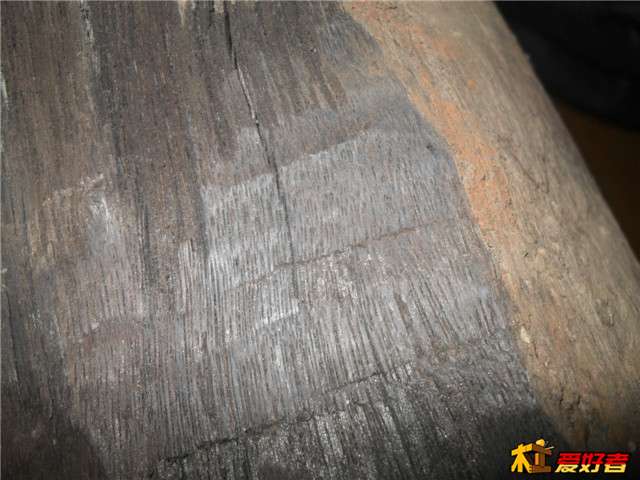 SDC15012.JPG