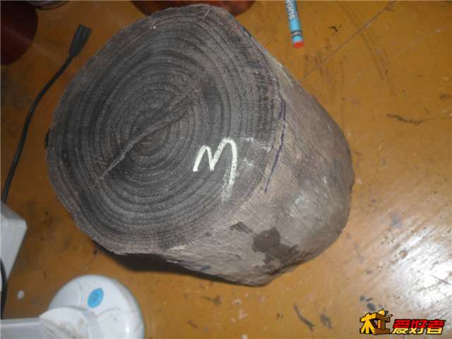 SDC14997.JPG