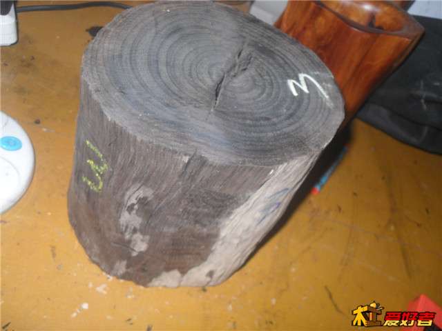 SDC14996.JPG