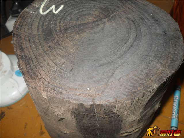 SDC14990.JPG