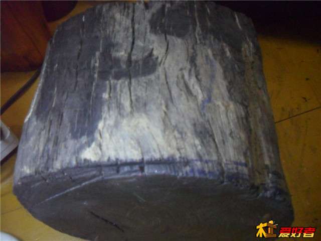 SDC14966.JPG