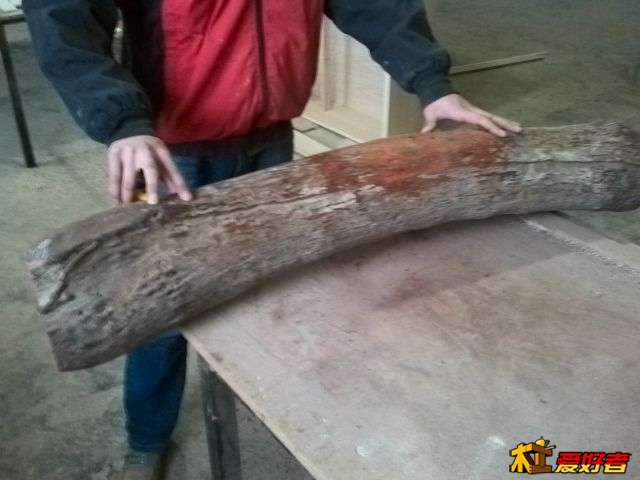 YP20140504173354.jpeg