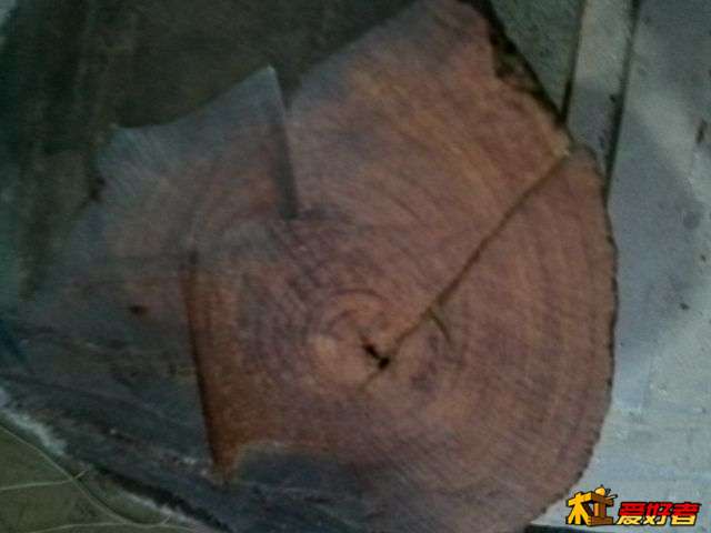 YP20140504175300.jpeg