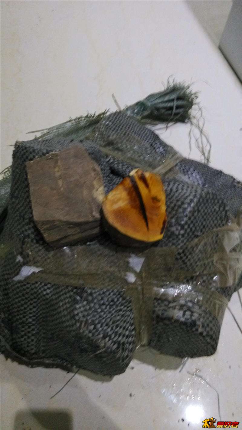 黄杨木木样