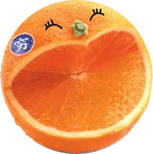 穷笑.gif