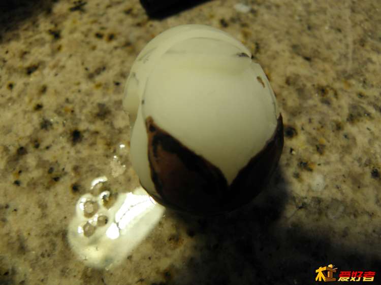 四片页，感觉少了点，第一次做，将就