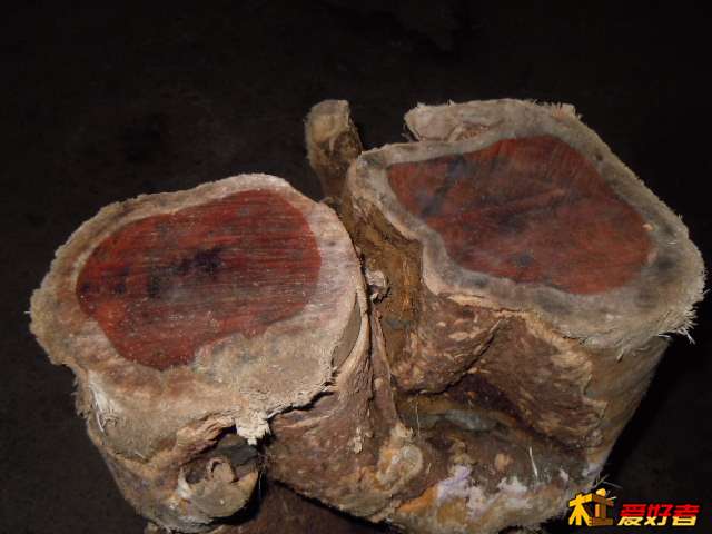 DSCN6507.jpg