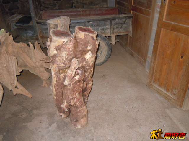 DSCN6509.jpg