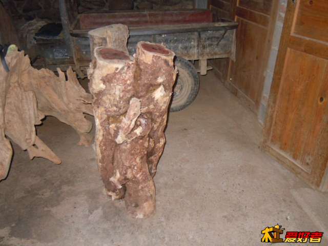 DSCN6508.jpg
