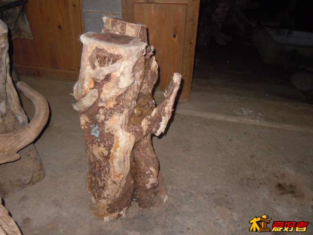 DSCN6488.jpg