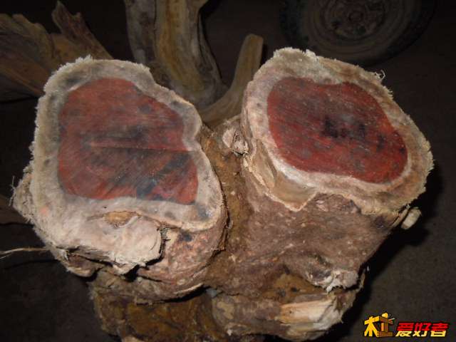 DSCN6490.jpg