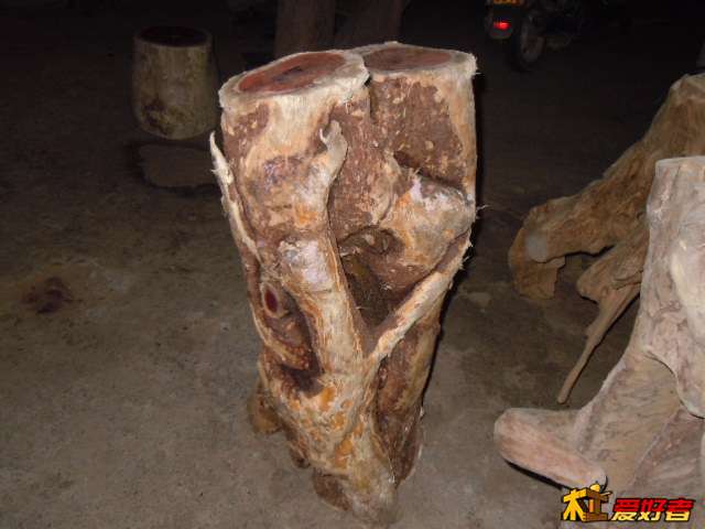 DSCN6489.jpg