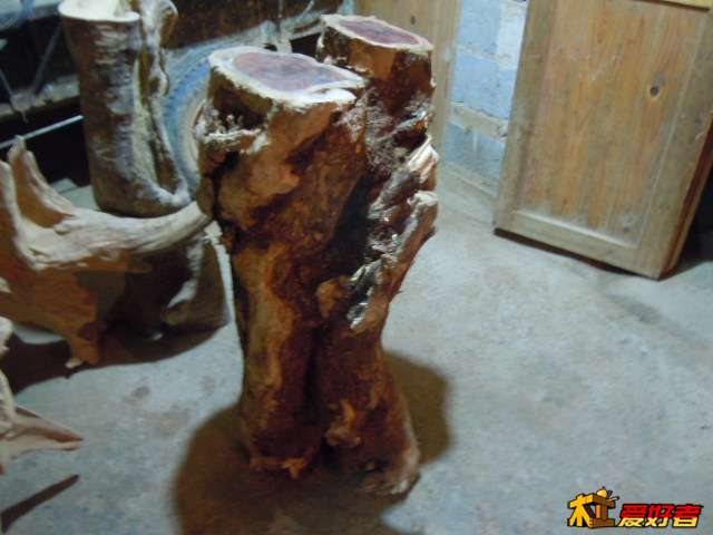 DSCN6495.jpg