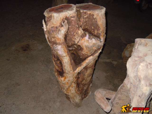 DSCN6502.jpg