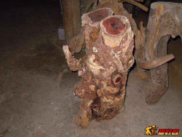 DSCN6503.jpg