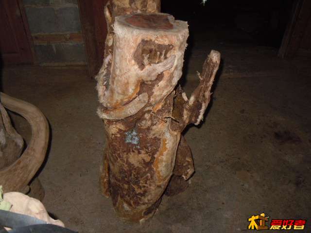 DSCN6505.jpg
