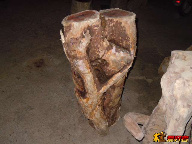 DSCN6506.jpg