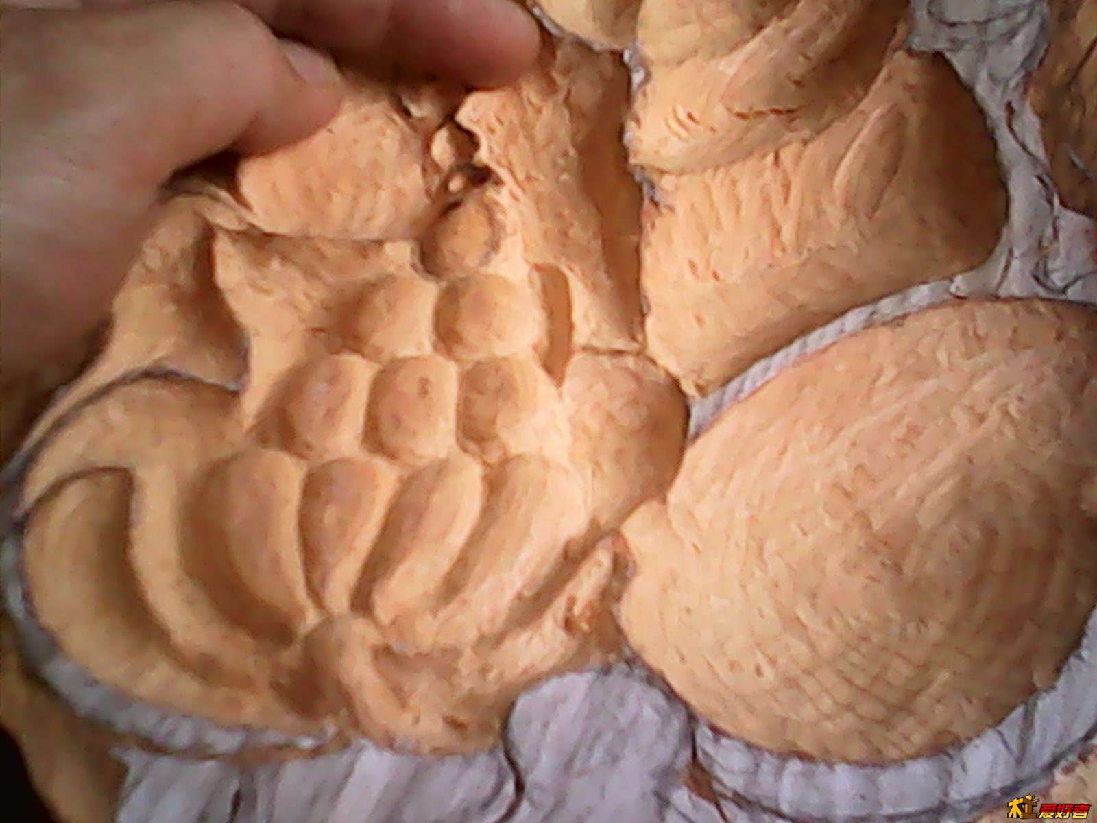 有虫眼，没办法随它去吧