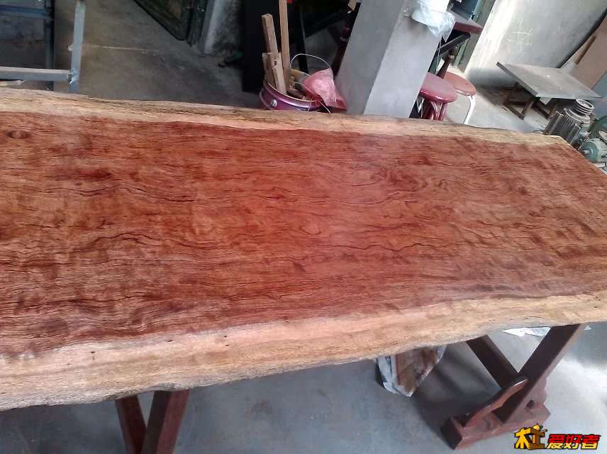 照片 013.jpg