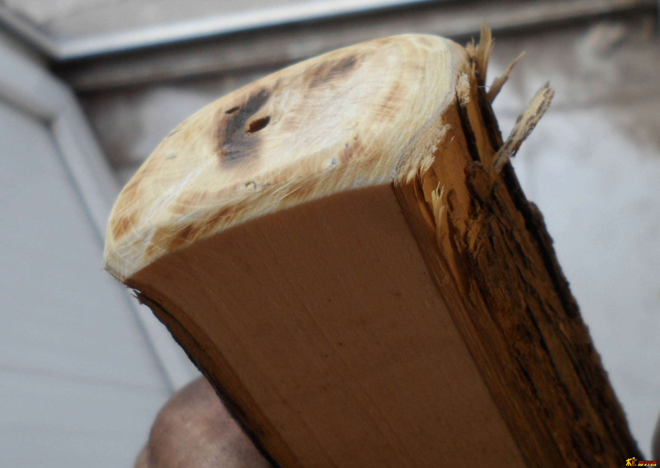 金乙堂 福到家门 (8).jpg