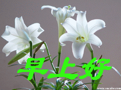 0D5BD.GIF