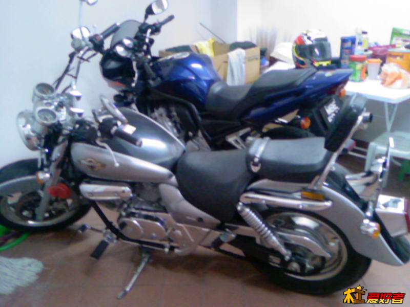 FAZEL 1000